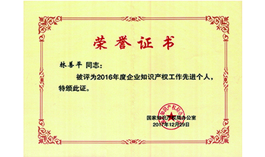 林善平榮獲國家“企業(yè)知識產(chǎn)權(quán)工作先進(jìn)個人”