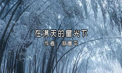 在滿(mǎn)天的星光下--作者 林善平